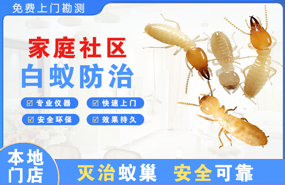 宣汉家庭社区白蚁防治