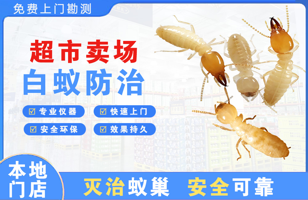 宣汉超市卖场白蚁防治