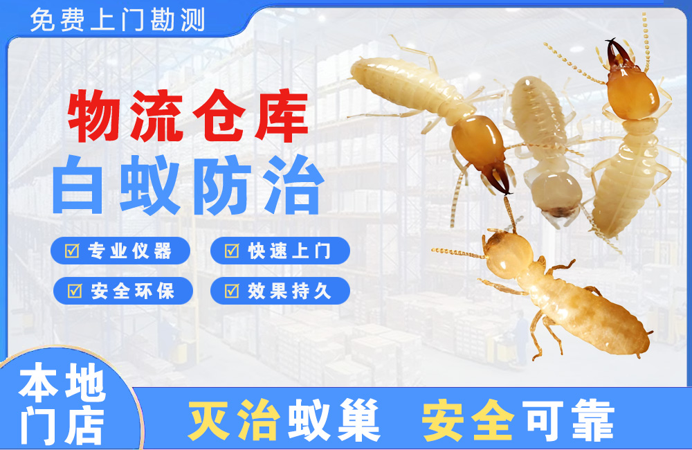 宣汉物流仓库白蚁防治