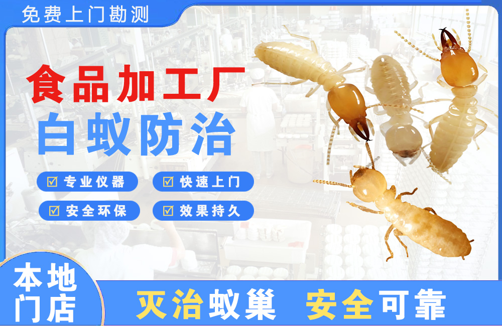 宣汉食品加工厂白蚁防治