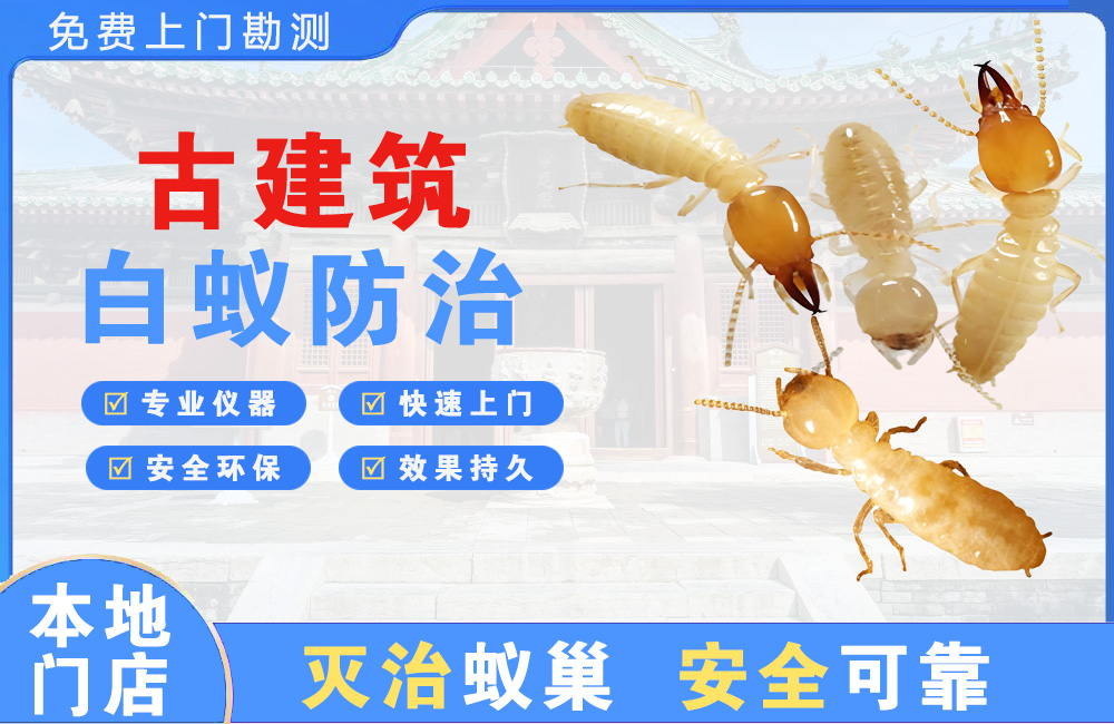 宣汉古建筑白蚁防治