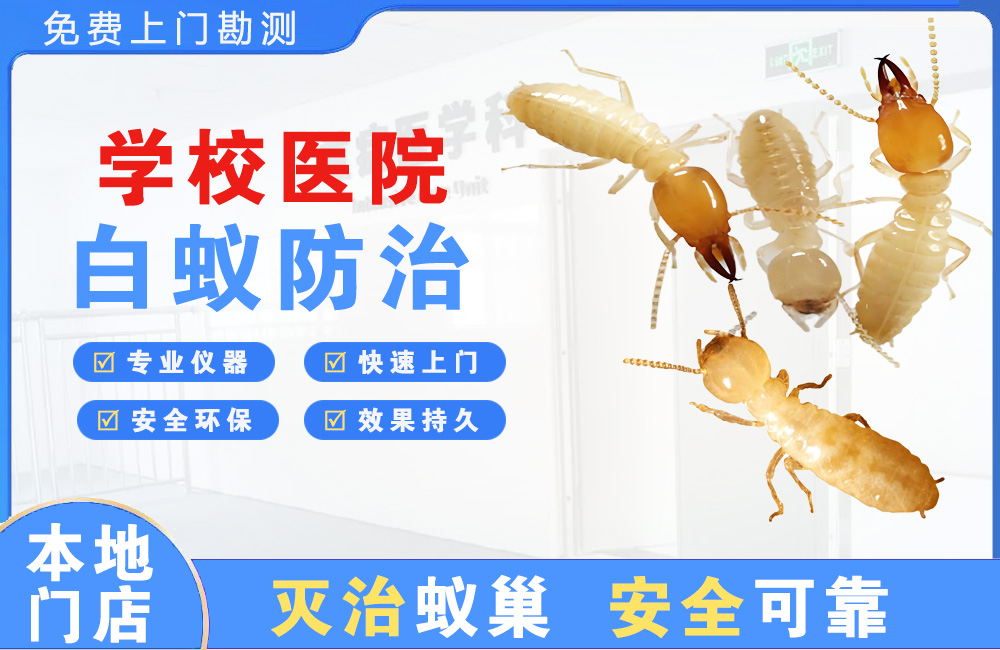 宣汉学校医院白蚁防治