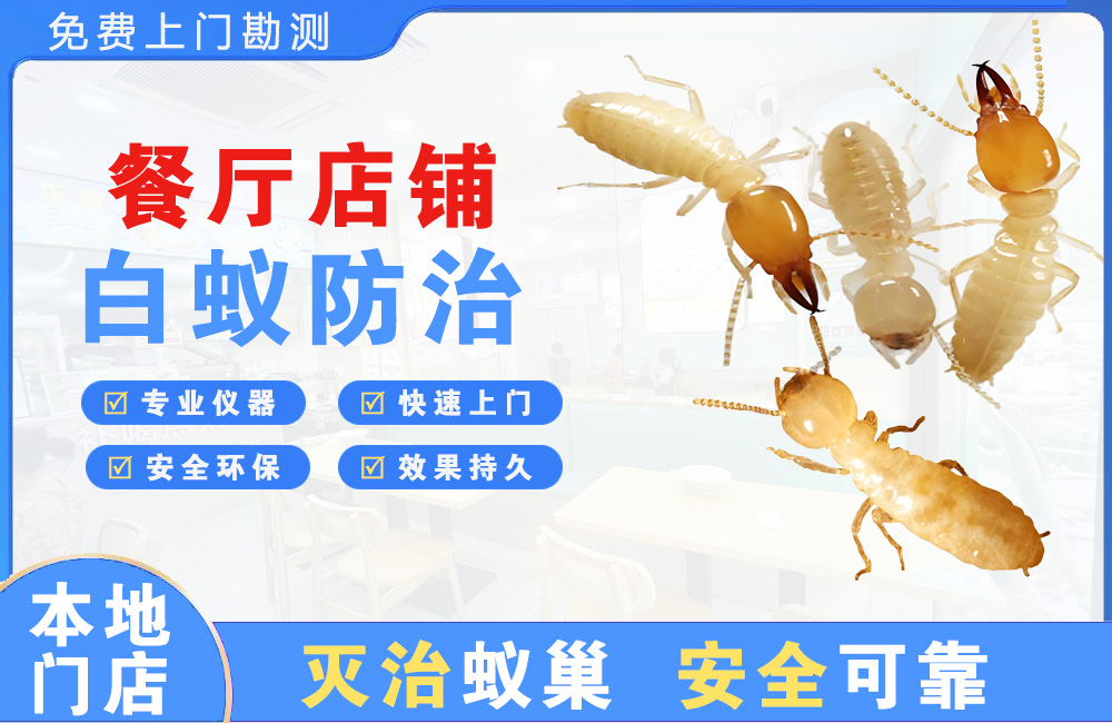 宣汉餐厅店铺白蚁防治